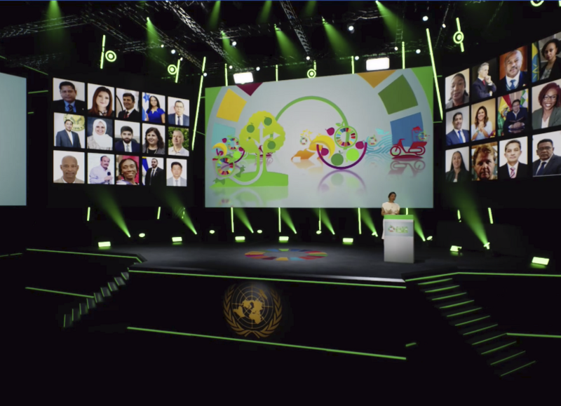 Participants at the UN Food Systems Summit. 