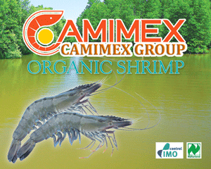 camimex_logo.png